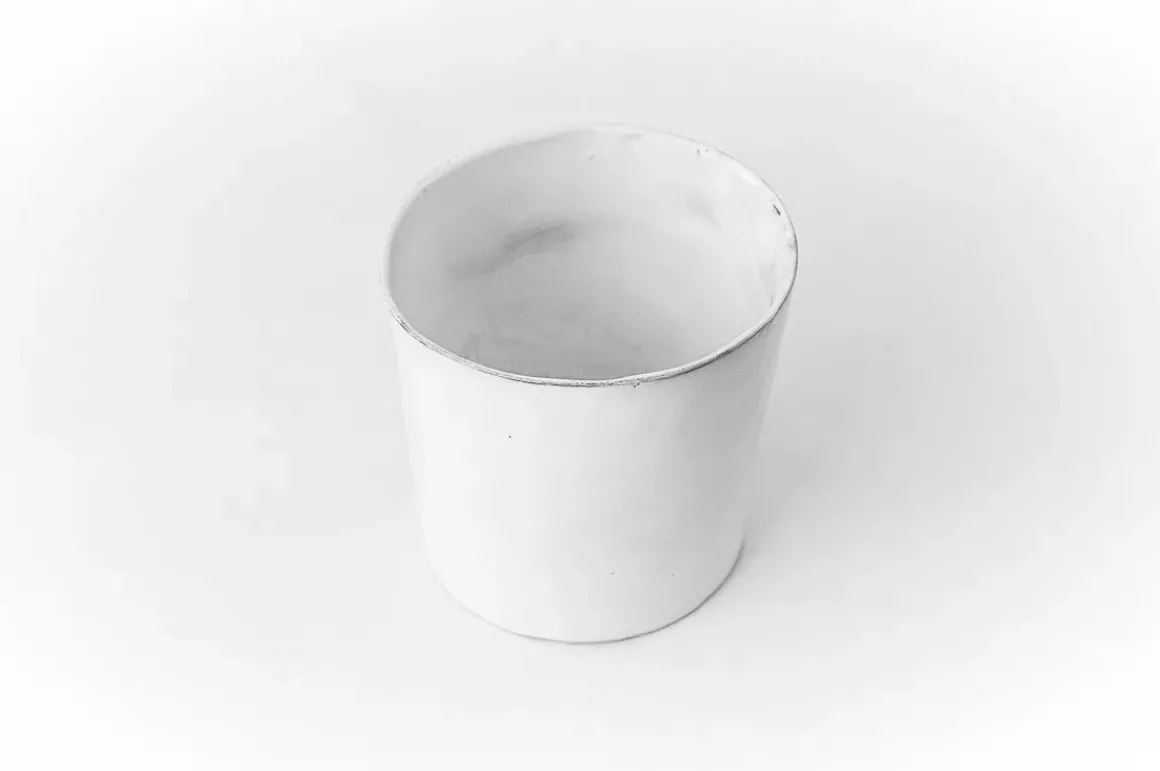 Merle Moqueur Tumbler