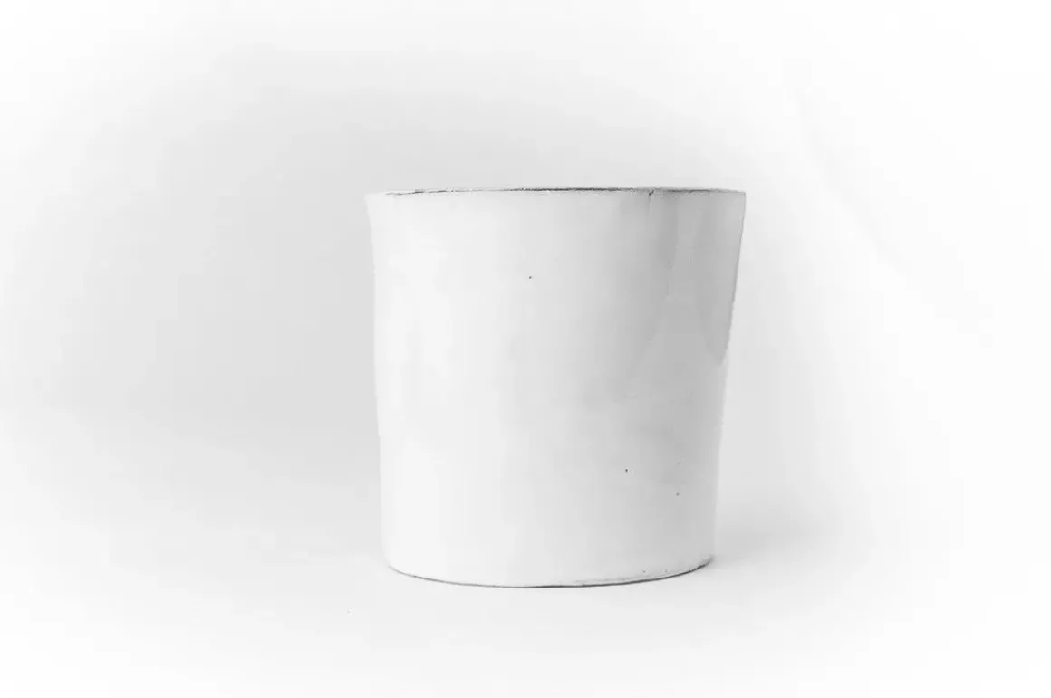 Merle Moqueur Tumbler