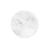 Pivoine Coaster