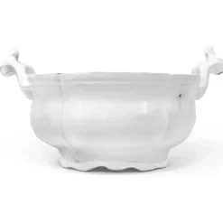 Saint-Jacques Salad Bowl
